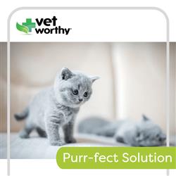 Extra Product Image