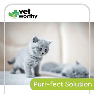 Vet Worthy Milk Replacement Powder Feline 12oz
