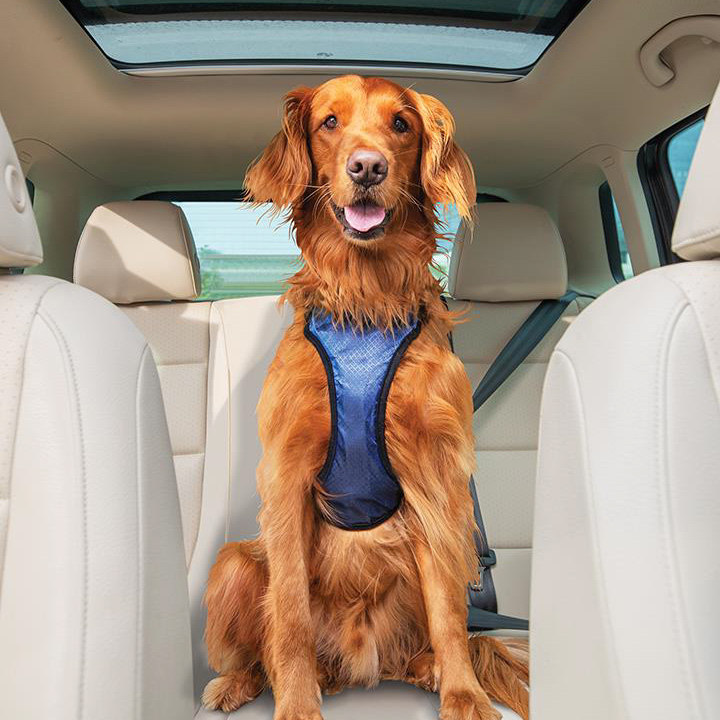 Happy Ride™ Vehicle Safety Harness