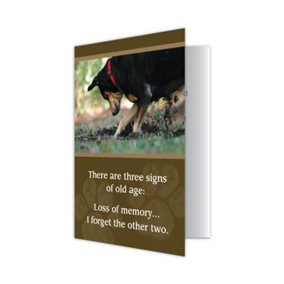 Birthday - Buried Gift (6 pack)