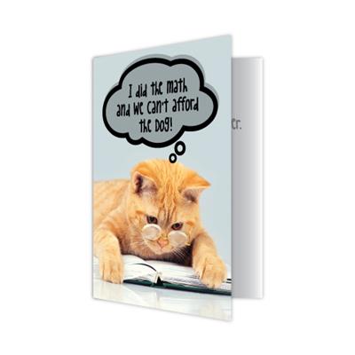 Birthday Cat - We can't afford the dog (6 pack)