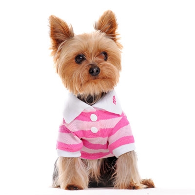 Stripe Polo Shirt Pink