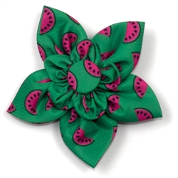 Watermelon Flower