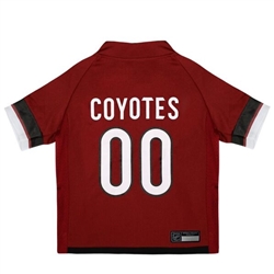 Arizona Coyotes Jersey