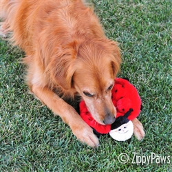 Betsey the Ladybug Squeakie Crawlers