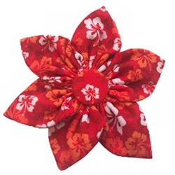 Red Hibiscus Pinwheel by Huxley & Kent