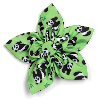 Pandas Collar & Lead Collection