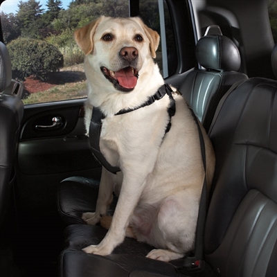 Cruising Companion Small/Medium Black Dog Car Safety Harness