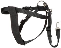 Extra Product Image