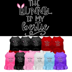 Bunny is my Bestie Screen Print Dog Dress