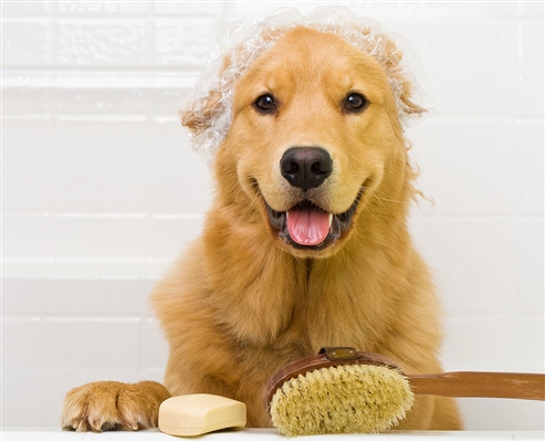 Espree Perfect Calm Lavender Waterless Bath, 24oz