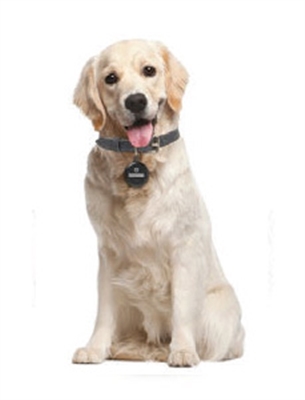 Pawscout Smarter Dog/Cat Tag