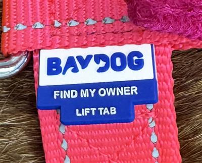 Chesapeake Bay Harness