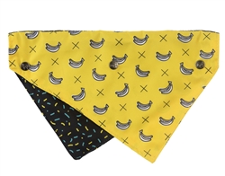Monkey Mania - Reversible Collar Bandana with Studs