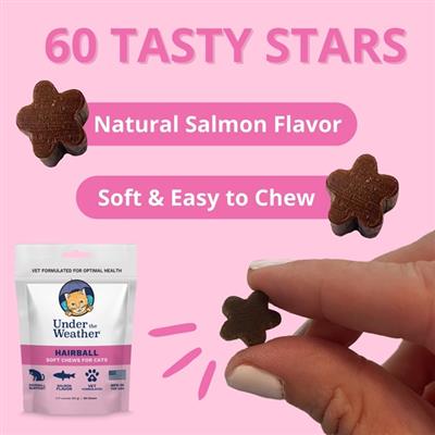 Hairball Support Soft Chews for Cats - 60 chews per pouch by Under the Weather