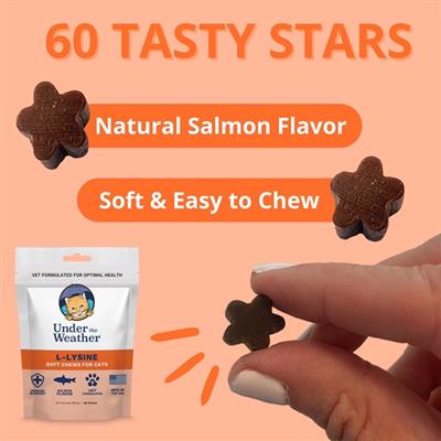 L-Lysine Soft Chews for Cats - 60 chews per pouch by Under the Weather