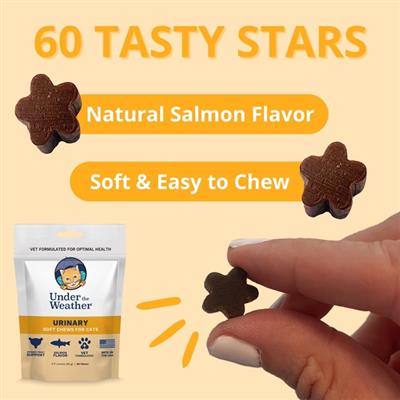Urinary Support Soft Chews for Cats - 60 chews per pouch by Under the Weather
