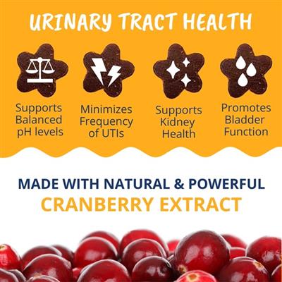 Urinary Support Soft Chews for Cats - 60 chews per pouch by Under the Weather