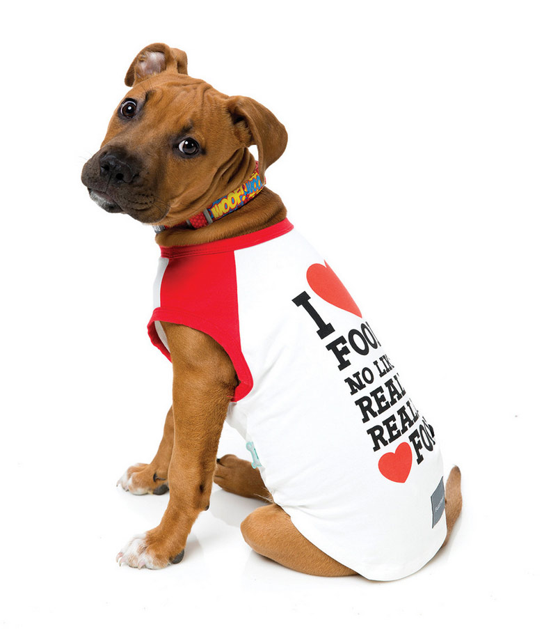 10 Best Food Dog Shirts You Need to Check Out Today A Comprehensive