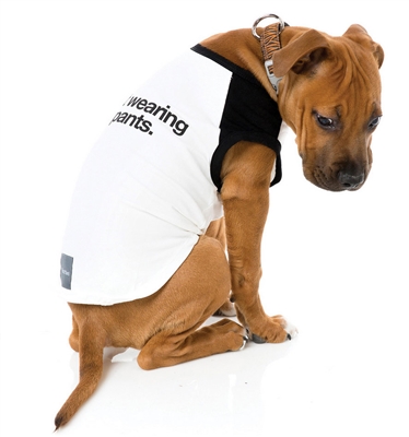No Pants Dog T-Shirt