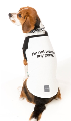 No Pants Dog T-Shirt
