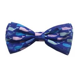 Whale Watch Bow