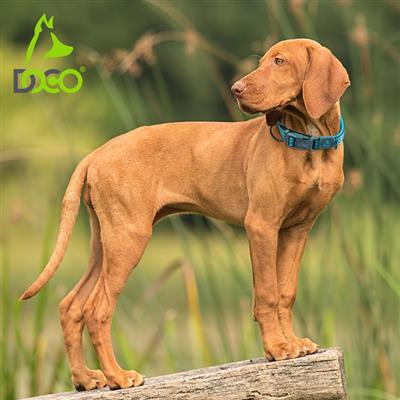 DOCO® VARIO Collar Reflective
