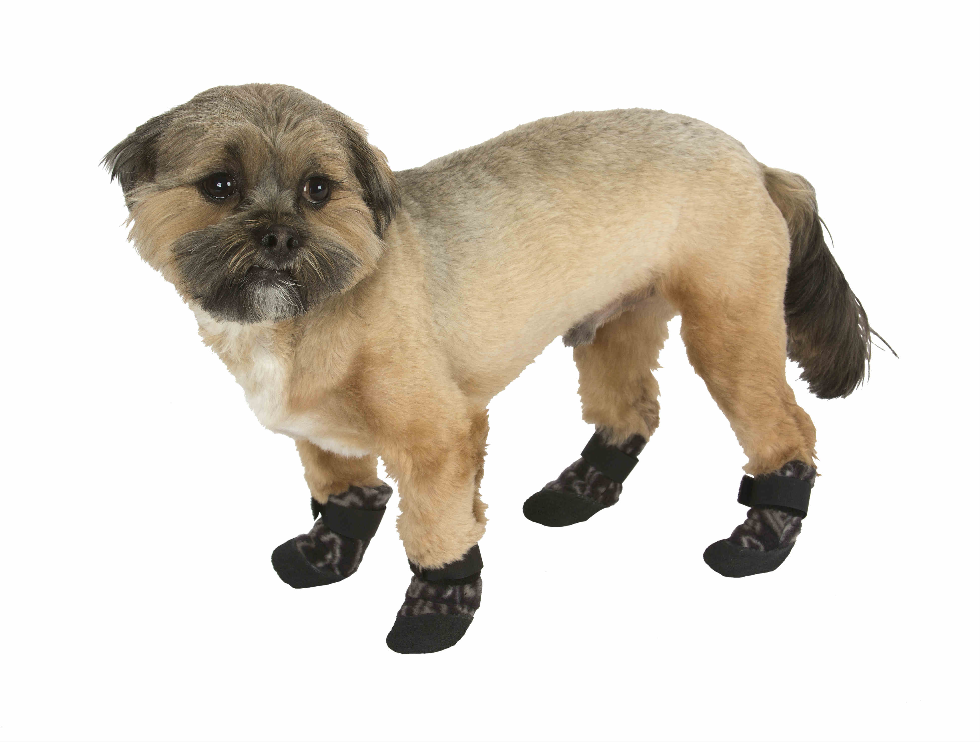 Cozy Paws Traction Dog Boots