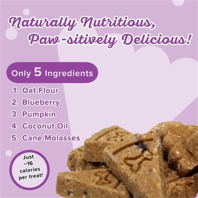 Molasses Crisped Blueberry Oat