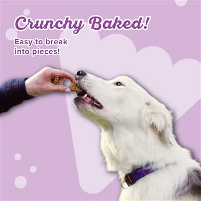 Molasses Crisped Blueberry Oat