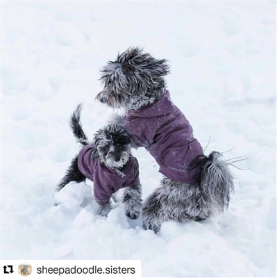 Apple Hoodie - BLACK