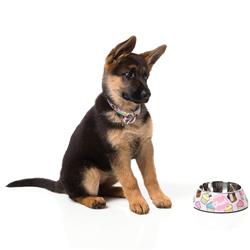 Extra Product Image