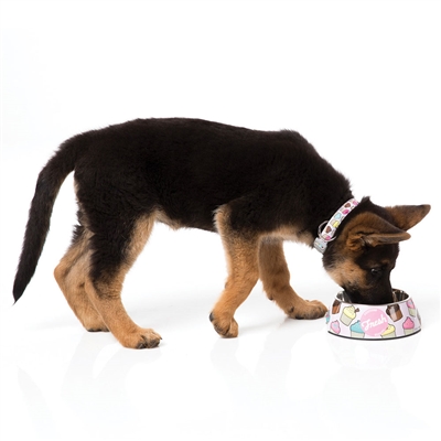 Fresh (Purple with Cupcakes) Easy Feeder Bowl