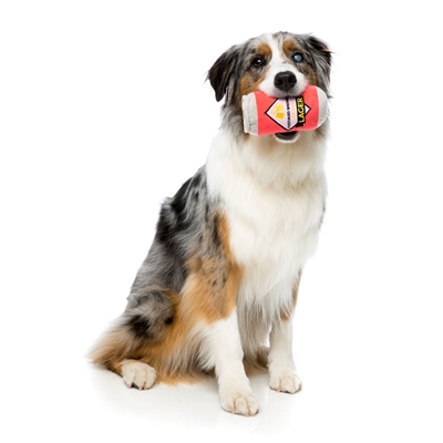 Beer Dog Toy by FuzzYard