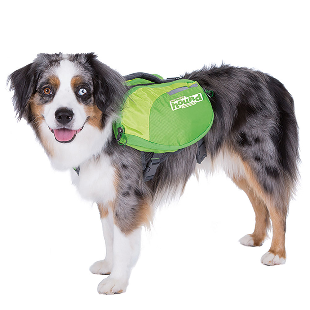 Daypak Dog Backpack Hiking Gear For Dogs