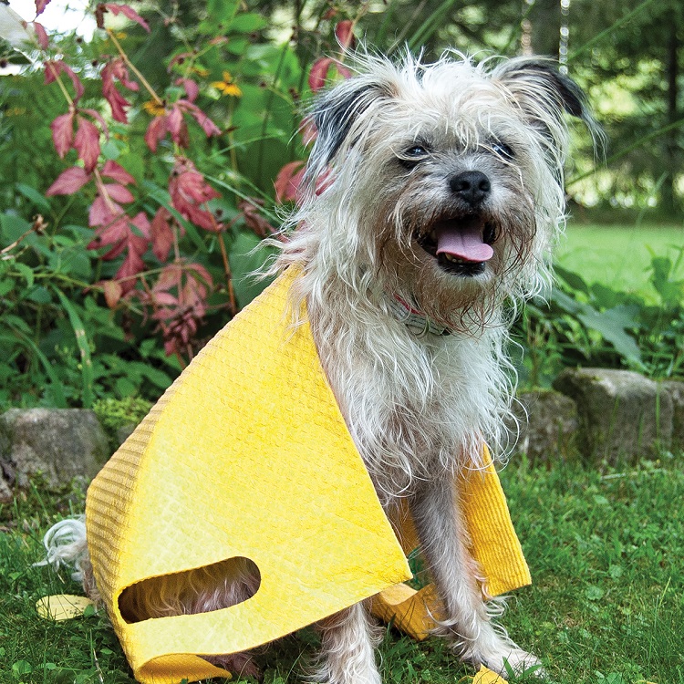 Hydro Cloth® Dog Towels, Super Absorbent Dog Grooming Towel, 12 Breeds