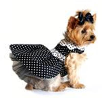 Black and White Polka Dot Dress with D-Ring and Leash