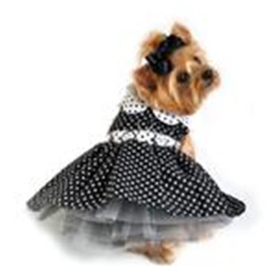 Black and White Polka Dot Dress with D-Ring and Leash
