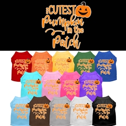 Cutest Pumpkin Screen Print Dog Shirt  - Halloween!