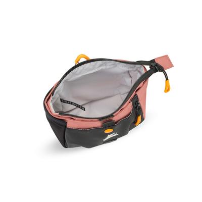 OllyDog Backcountry Day Bag