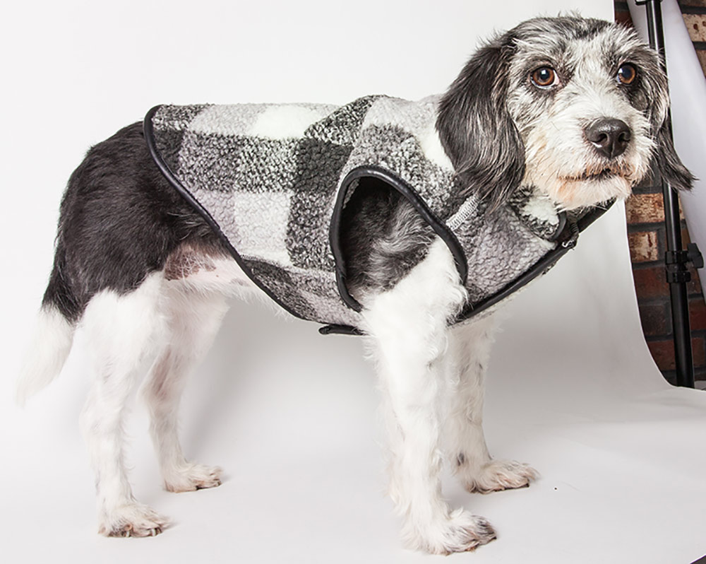 Pet Life® 'Black Boxer' Classical Black, Grey and White Plaid Insulated