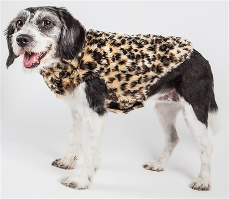 Pet Life® LUXE 'Poocheetah ' Ravishing Designer Spotted Brown and Black Cheetah Patterned Mink Fur Dog Coat