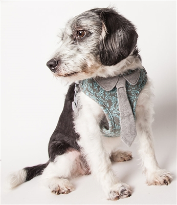 Pet Life�� 'Fidomite' Blue / Gray Mesh Reversible and Breathable Adjustable Dog Harness w/ Designer Neck Tie