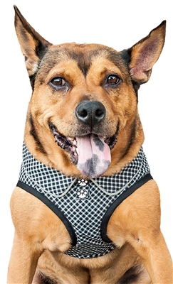 Pet Life® 'Checkerwag' Black and White Checkered Buttoned Mesh Reversible and Breathable Adjustable Dog Harness 