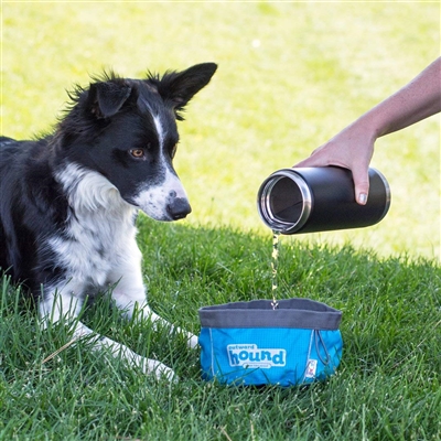 Outward Hound Port-A-Bowl Collapsible Travel Dog Food and Water Bowl- While Supplies Last