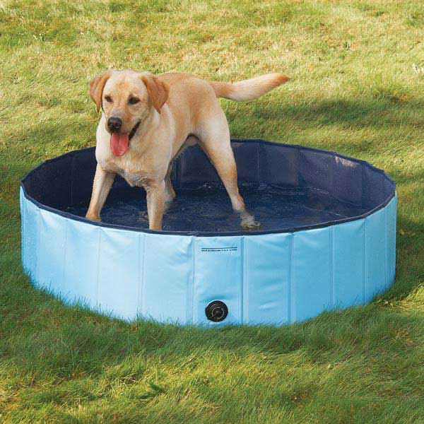 Cool Pup™ Splash About Dog Pool