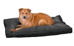 Slumber Pet™ Toughstructable Bed 36x23In Blk