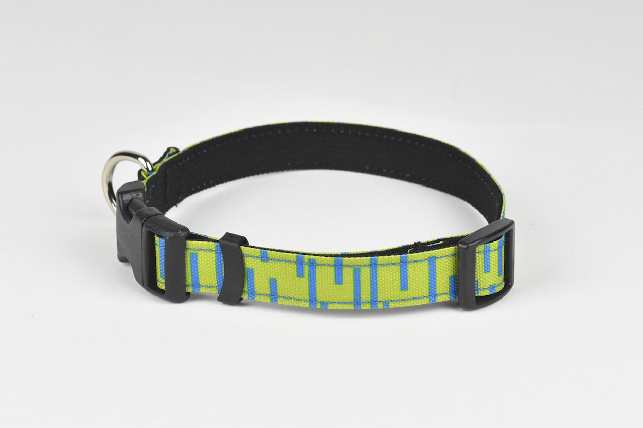 Lime Dog Collar