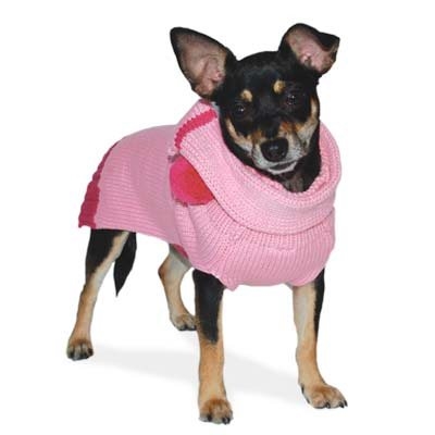 Scarf Sweater Cashmere