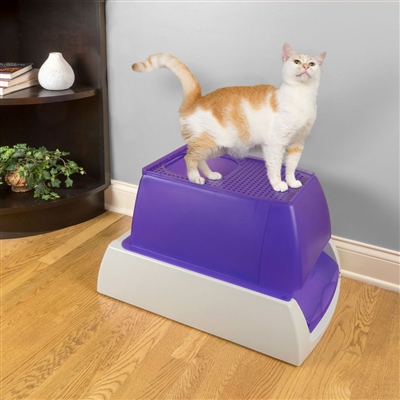 ScoopFree® Top-Entry Ultra Self-Cleaning Litter Box